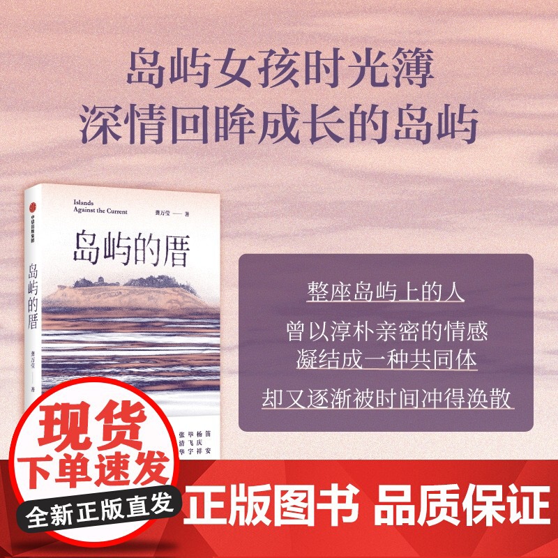 2024豆瓣年度书单]岛屿的厝 龚万莹 著 中国现当代文学 中信出版社高清大图