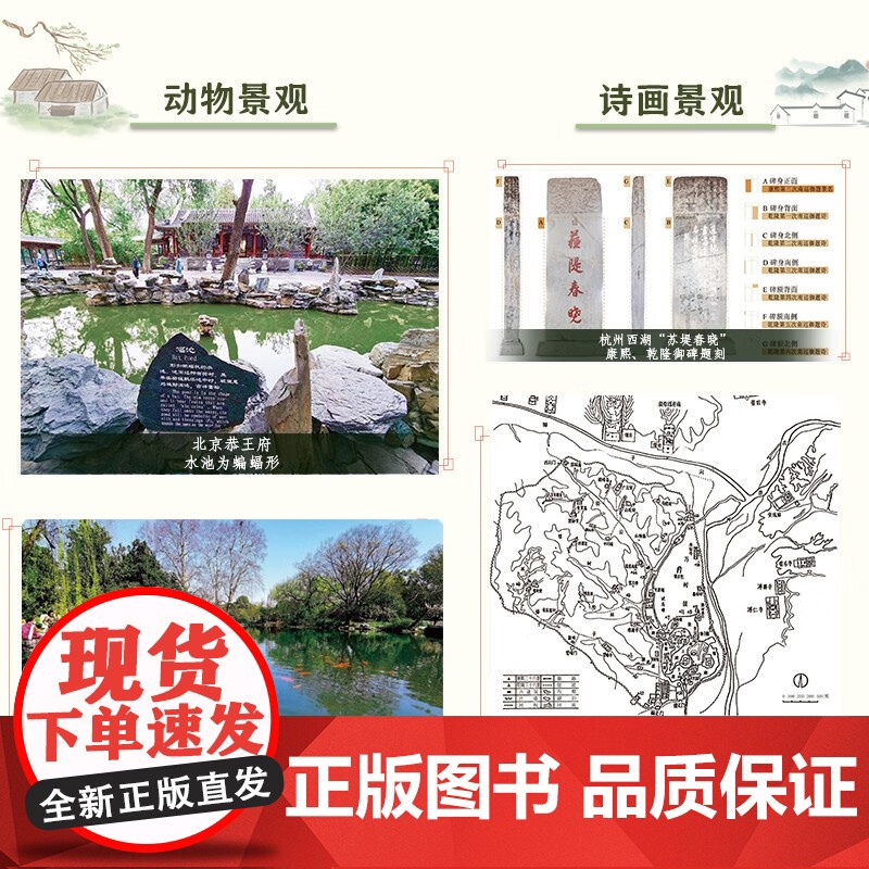 图解中国园林2 园林景观 风景园林 中国园林 江南园林 古典园林 图解形式直观易懂 凤凰空间高清大图