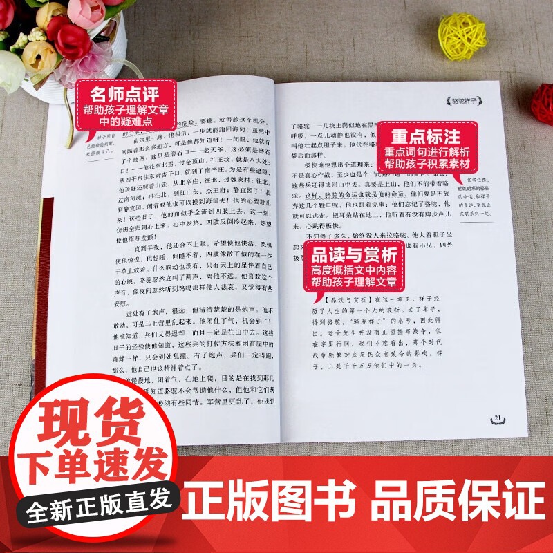 骆驼祥子+海底两万里全2册 七年级下册课外阅读 世界经典文学名著青少年儿童文学读物高清大图