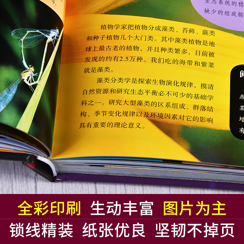 [醉染正版]精装儿童百科大全 动物科学百科揭秘可怕的科学6-12-15岁启蒙科普类大开本人体恐龙交通工具海洋宇宙地理动物高清大图