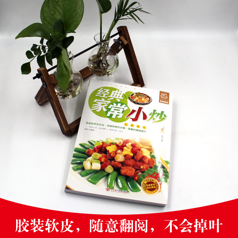 [醉染正版]经典家常小炒家常菜谱经典做菜大全舌尖上的经典家常美食烹饪教程家庭主妇家新手学做菜的厨艺美食厨师书正版图书籍家高清大图