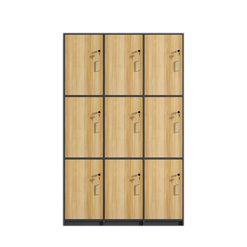 DXBG衣柜更衣柜储物柜长1650宽450高1850