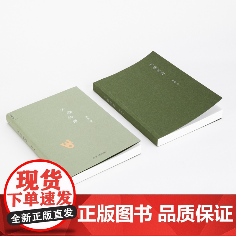 天珠传奇 费滢 全新作品集 东课楼经变作者 三部风格各异的中篇小说 行则涣 反景与天珠传奇 理想国高清大图