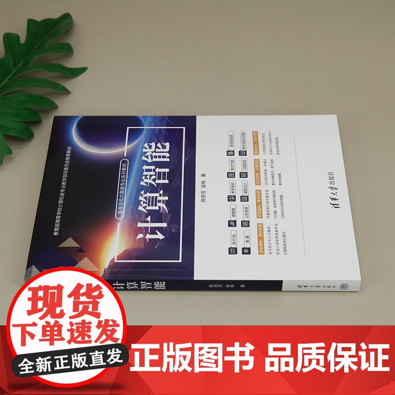 [正版新书]计算智能 陈丽芳 侯伟 清华大学出版社 计算智能,人工智能,大数据高清大图