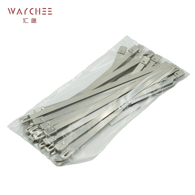 汇继 不锈钢扎带 12*1100mm/个高清大图