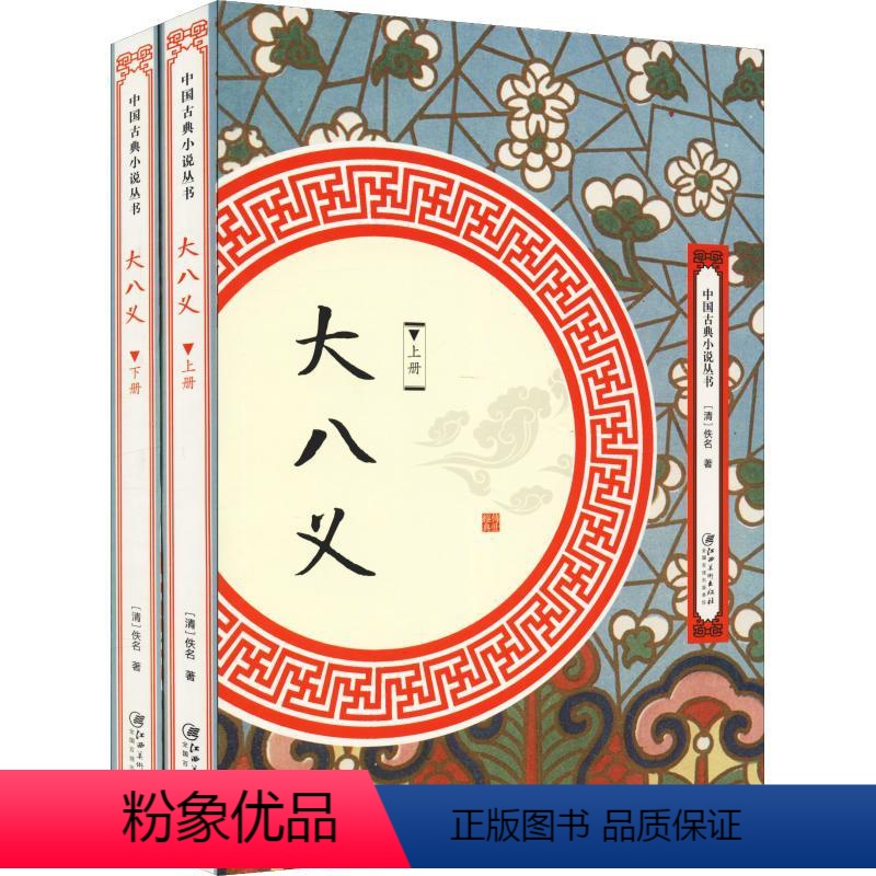 [正版](上下2册)大八义中华武侠经典大八义小八义三侠五义小五义续小五义狭义小说书籍中国古典小说丛书