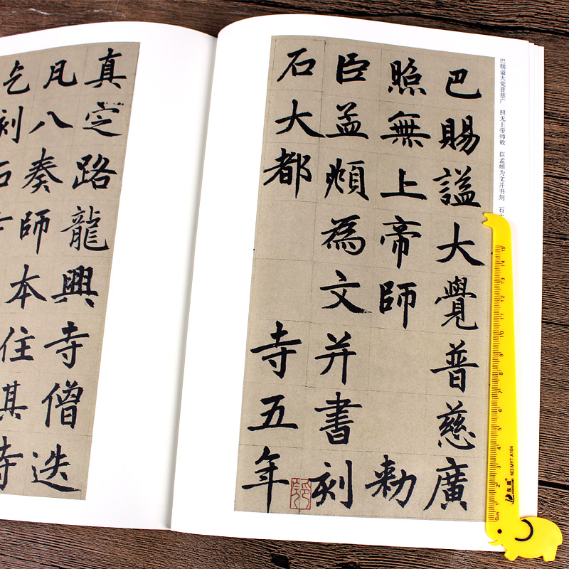 [正版]胆巴碑 教程+原帖全2册 胆巴碑楷书教程 初学者入门书籍临摹毛笔书法教程赵体楷书毛笔字帖书法教程 安徽美术 浩高清大图
