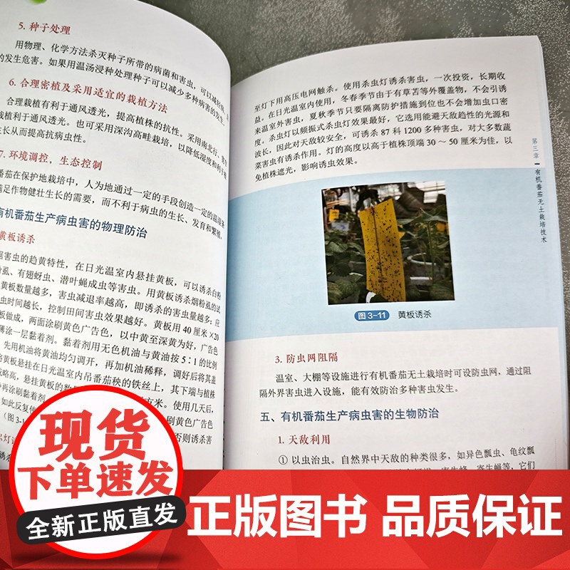 有机蔬菜无土栽培技术大全 彩色图解 视频升级版 有机蔬菜无土栽培技术基本概念和相关设备 蔬菜企业技术人员 专业菜农应用参高清大图