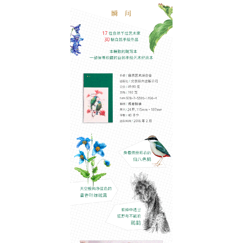 正版新书]瞬间自然艺术联合会9787559614964高清大图