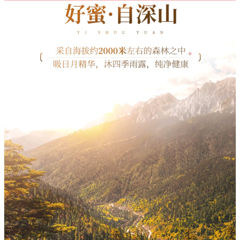 颐寿园(YISHOUYUAN)蜂蜜 纯正天然枣花蜜 枣花蜂蜜480g/瓶