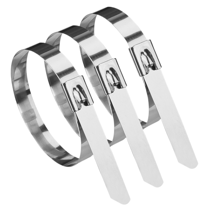 XD JX.XINGDIAN 不锈钢扎带 /根 不锈钢扎带 12*800mm