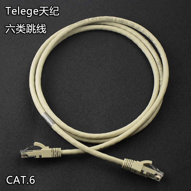 天纪(TELEGE) 六类网线5米YC
