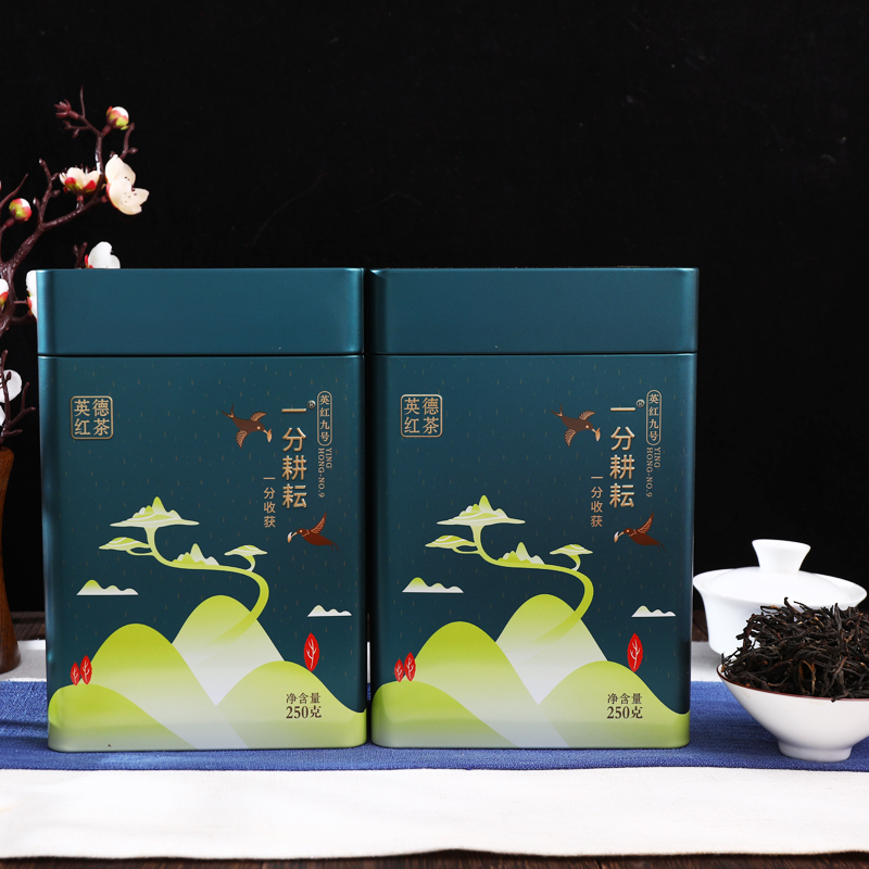一分耕耘红茶 墨绿色商务罐装红茶 英德红茶英红九号 功夫红茶茶叶送礼250g/罐高清大图