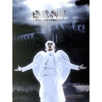 感觉刹那（附光盘）