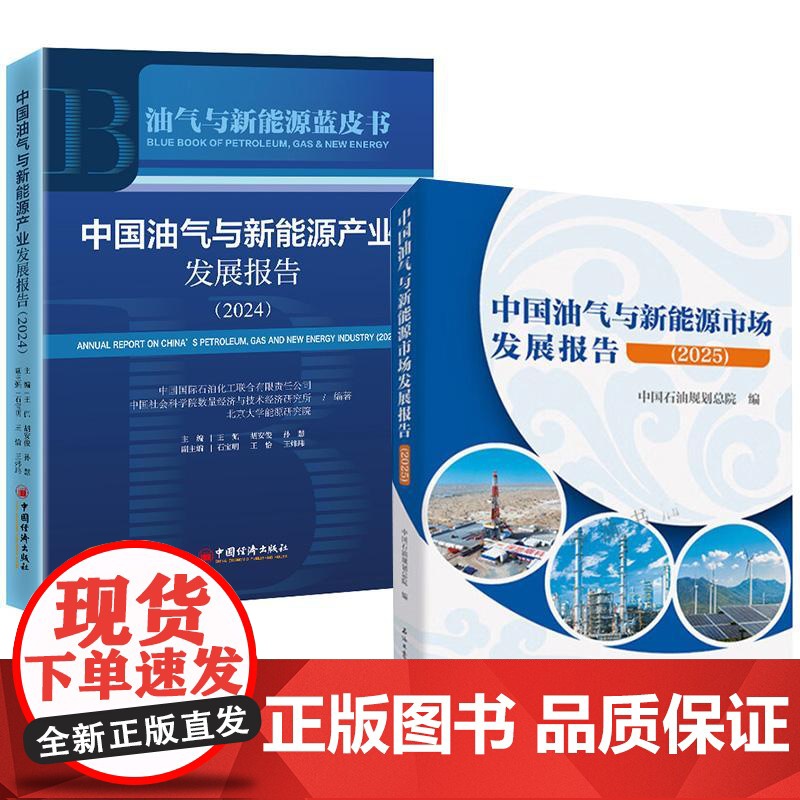 书全2册]中国油气与新能源市场发展报告(2025)中国石油规划总院编+中国油气与新能源产业发展报告(2024)高清大图