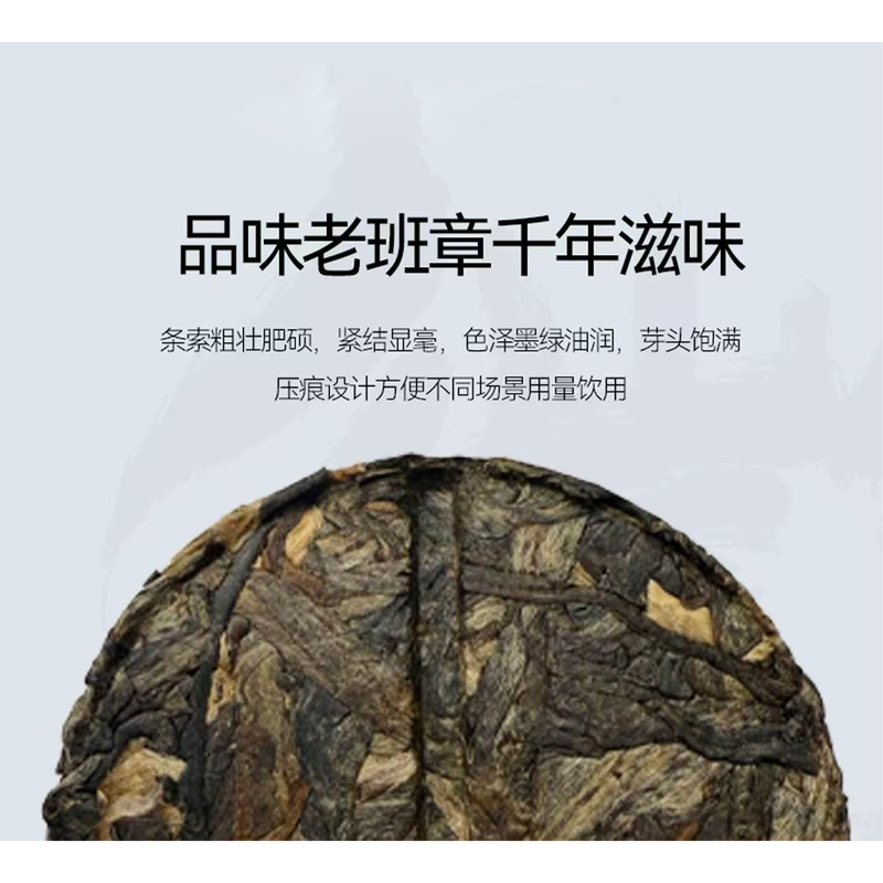 澜凔古茶 云南老班章古树春茶原料普洱小饼生茶 一提5小泡 一泡8克高清大图