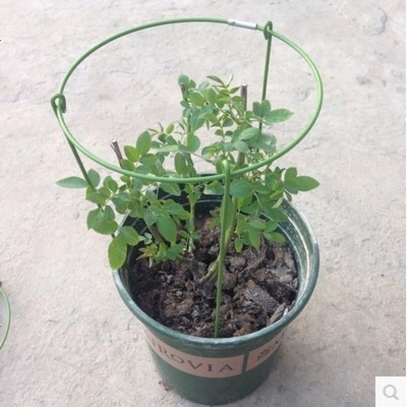 卡汐沐花架包塑铁环铁线花支架铁艺花架简易藤蔓爬藤架花盆支柱家庭种植 价格图片品牌报价 苏宁易购天连亮卡汐沐专营店