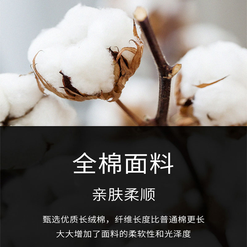 路盈顺 枕芯 45*75cm 个高清大图