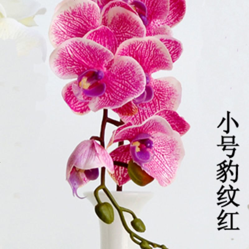 过胶手感假花蝴蝶兰仿真花单支枝落地长枝绢花装饰花家居婚庆摆花