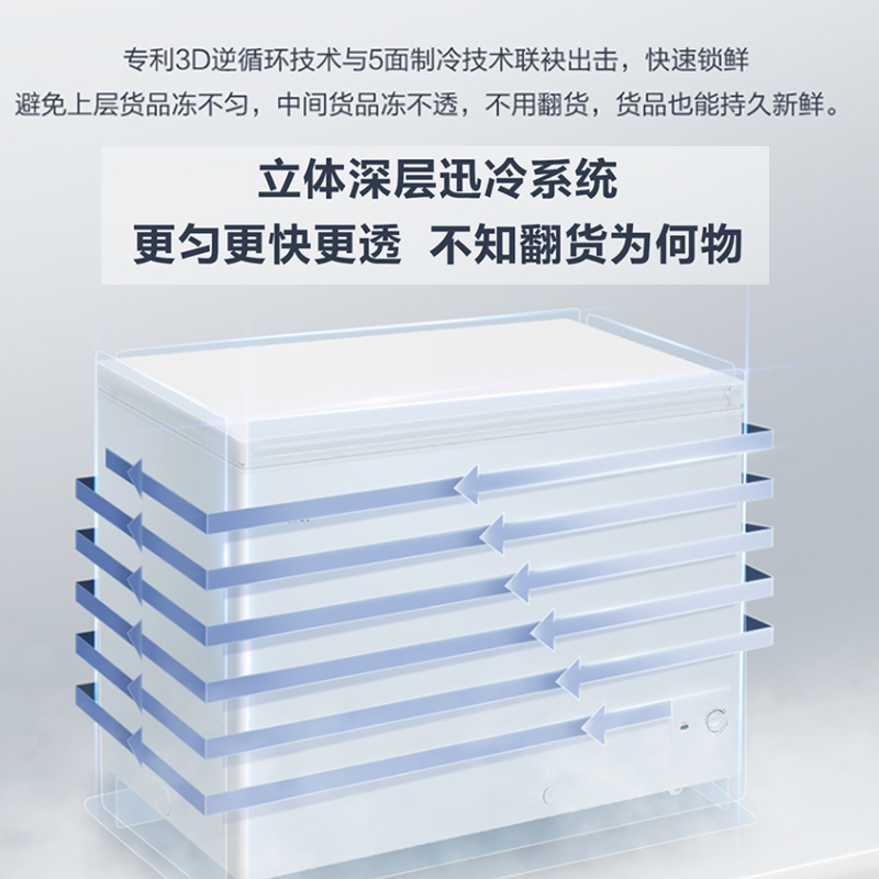 海尔(Haier)300升家用卧式冰柜 冷柜 小冰箱 大冷柜 减霜80% 断电保护 一级能效 BC/BD-300GHD