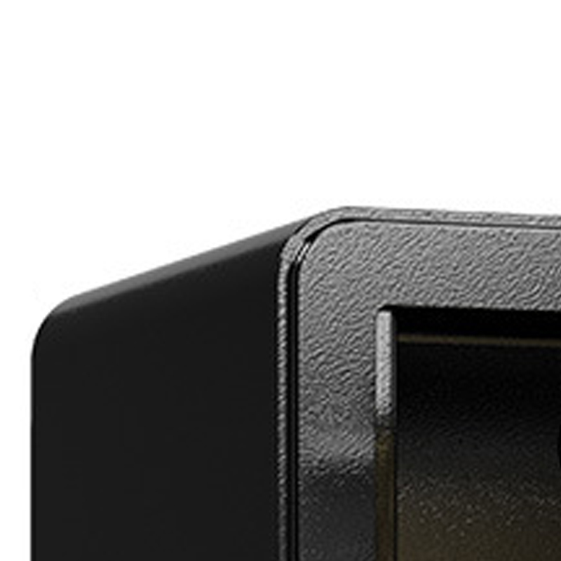 臻远 ZY40618089 小型保险柜密码保险箱全钢防盗保管箱 30cm黑色指纹密码款高清大图