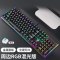 HP/惠普GK600F周边发光机械键盘游戏键盘吃鸡背光键盘笔记本办公网吧赛博朋克有线外接104全键混光青轴