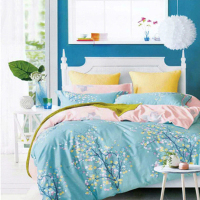 佳丝梦 (JIASIMENG )喜悦时尚套件(春暖花开/洛拉梦/纳兰花海)1套