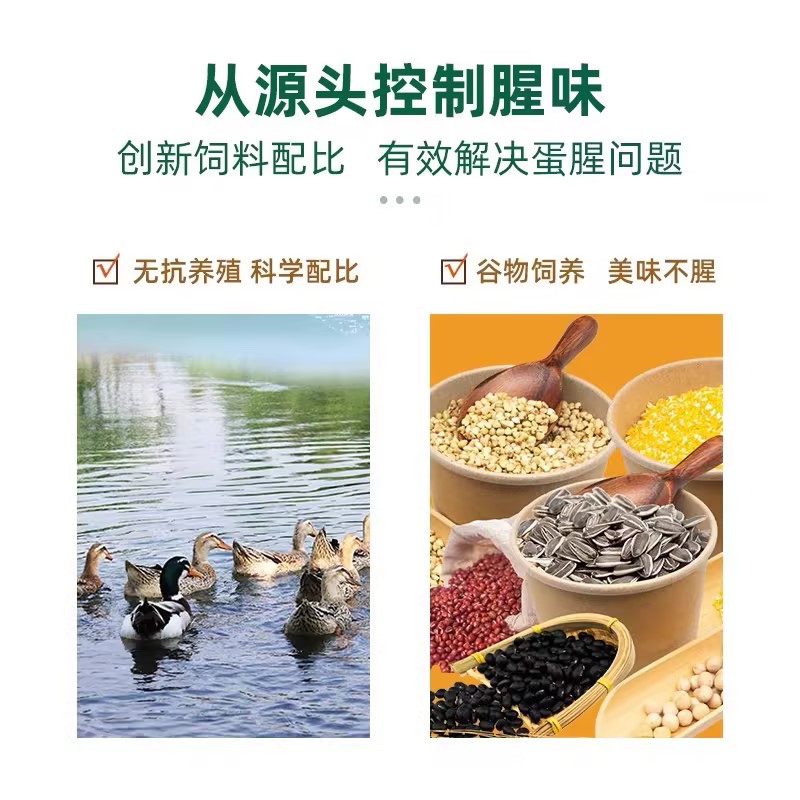 神丹12枚VE鲜鸭蛋高清大图