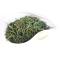 绿茶 日照绿茶 2019年新茶银针250g春茶叶 芽头全芽茶R91