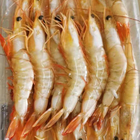 桂之海野生大明虾400克*3包[16-20只/包]新鲜冷冻北部湾海捕活冻对虾海鲜