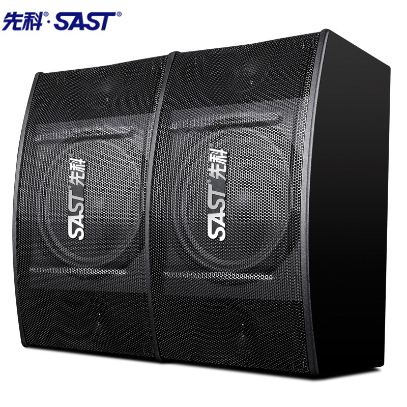 SAST/先科 A8家用8寸KTV专业卡包音箱 多媒体会议室专用大功率音响对箱家庭影院音箱