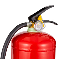 神龙 灭火器 干粉灭火器8公斤 车载家用及商用灭火器8kg MFZ/ABC8