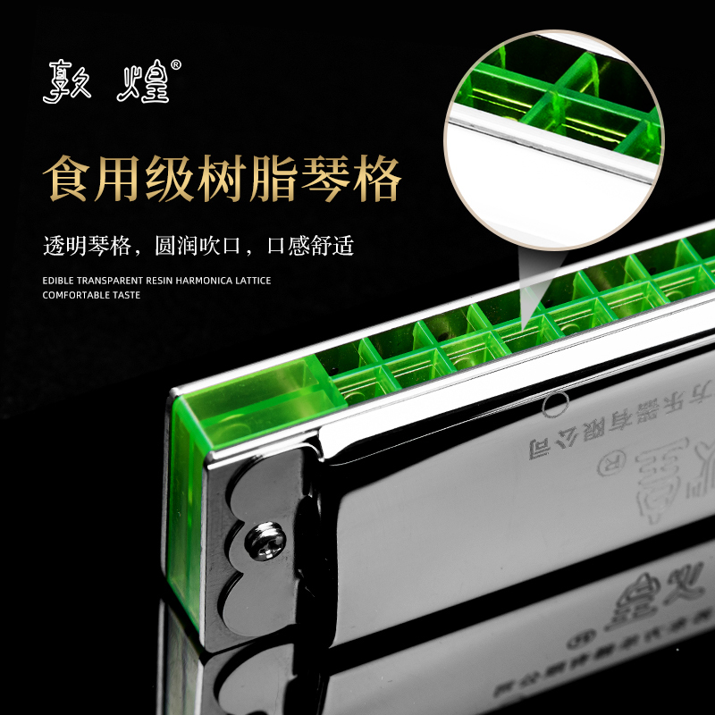 敦煌24孔绿格子口琴复音c调初学者中小学生儿童成人新手入门乐器