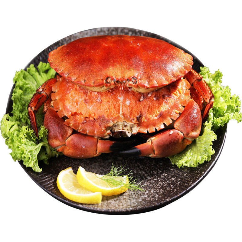 赛卡伊 [肉满黄多]英国面包蟹超大母蟹熟冻面包蟹黄金蟹满黄螃蟹批发