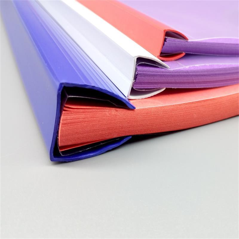 递乐(DiLe)10个/包 A4拉杆夹 办公用品透明抽杆夹25mm大号夹200张 加厚18C透明封面抽杆夹