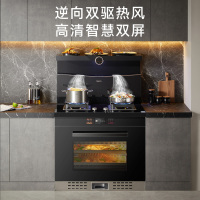 凯度(CASDON)T2E集成灶蒸烤一体集成灶一体灶 蒸箱烤箱一体式 抽油烟机套装(可备注液化气))天然气(左)