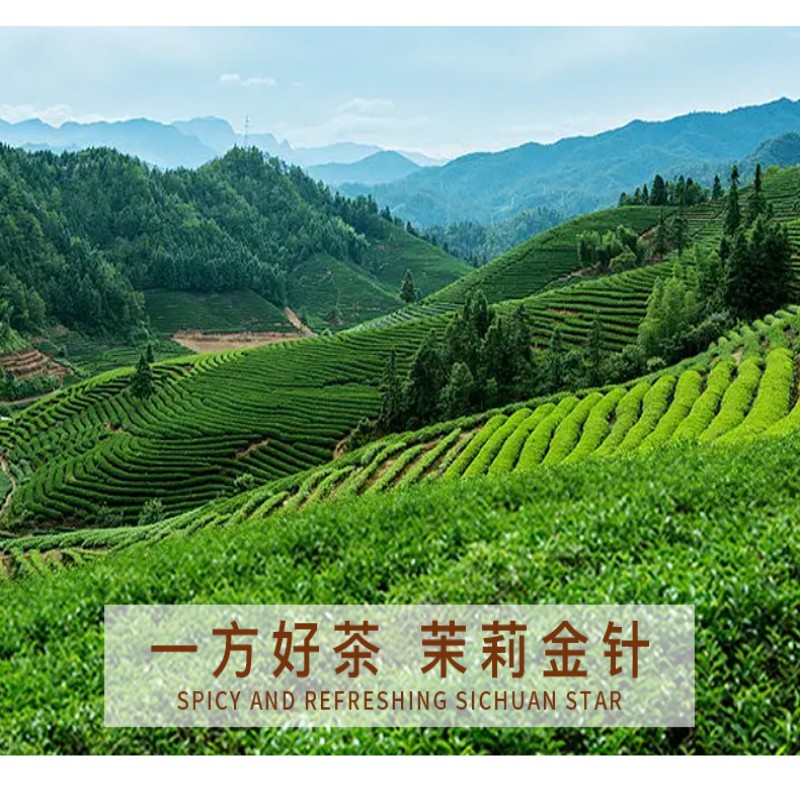 溪碧山茉莉花金针100g/桶高清大图