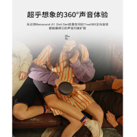 B&O Beosound A1 2nd Gen 二代便携式防水蓝牙低音炮音箱 丹麦bo迷你大音量户外小音响桌面音响 黑色