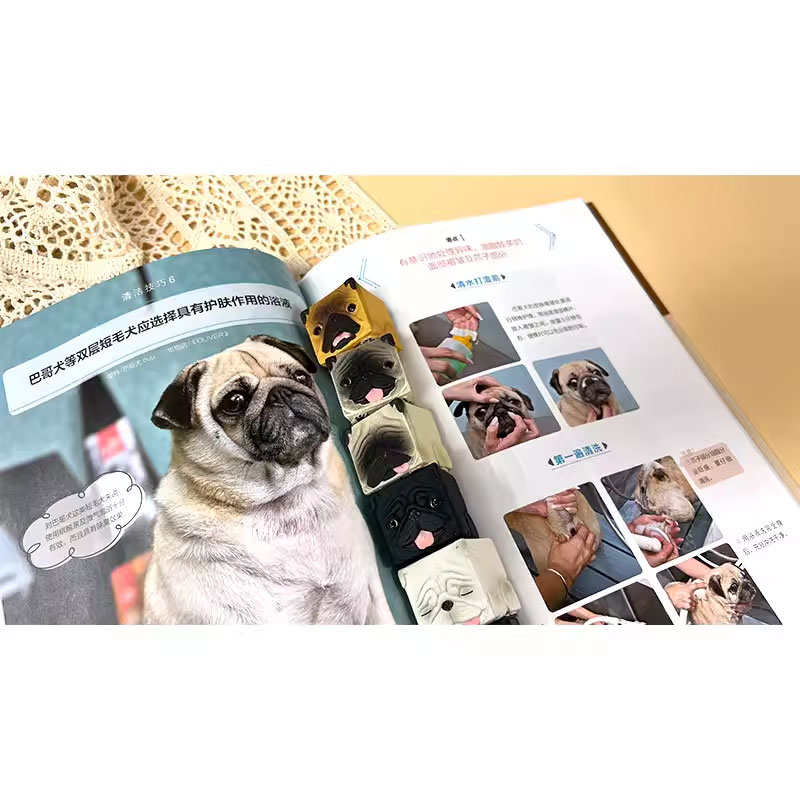 宠物狗美容 [正版]宠物狗美容图解教程 提升爱犬和主人幸福感的指导手册宠物店参考书籍高清大图
