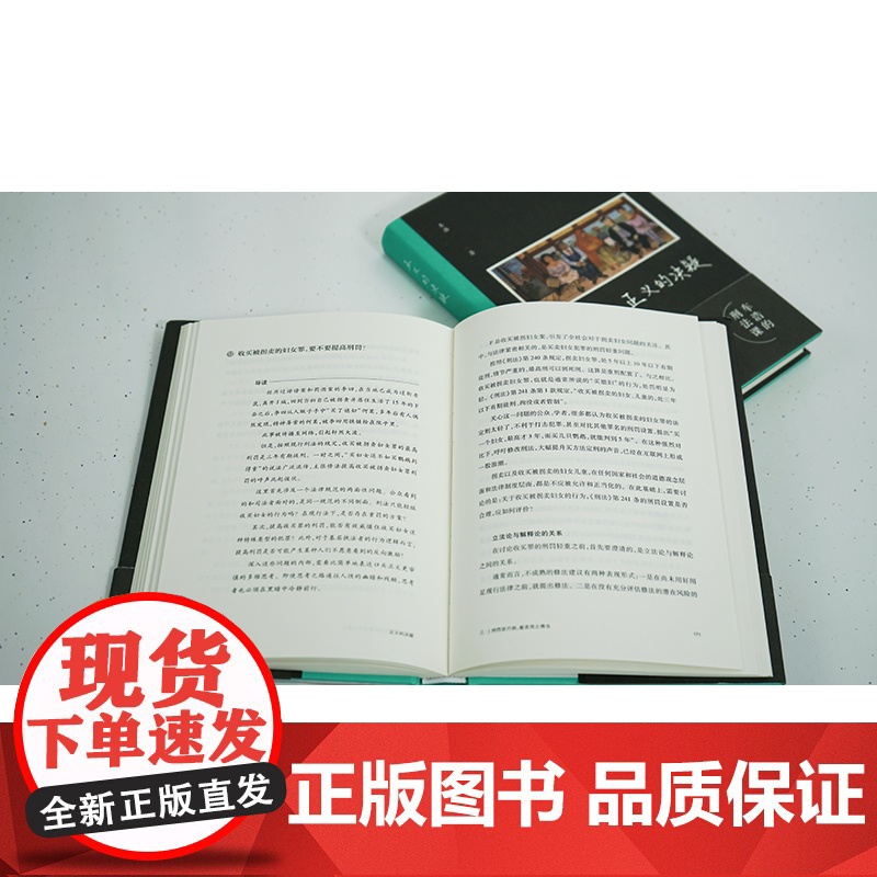 正版 正义的决疑 车浩 著 法律出版社 法理辨析 刑法思维 9787519775889高清大图