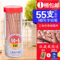 宝克(baoke)桶装原木铅笔六角HB笔PL1680考试2B铅笔小学生三角形HB铅笔幼儿园写字笔儿童铅笔文具考试绘画套装 55支三角形HB桶装PL1682