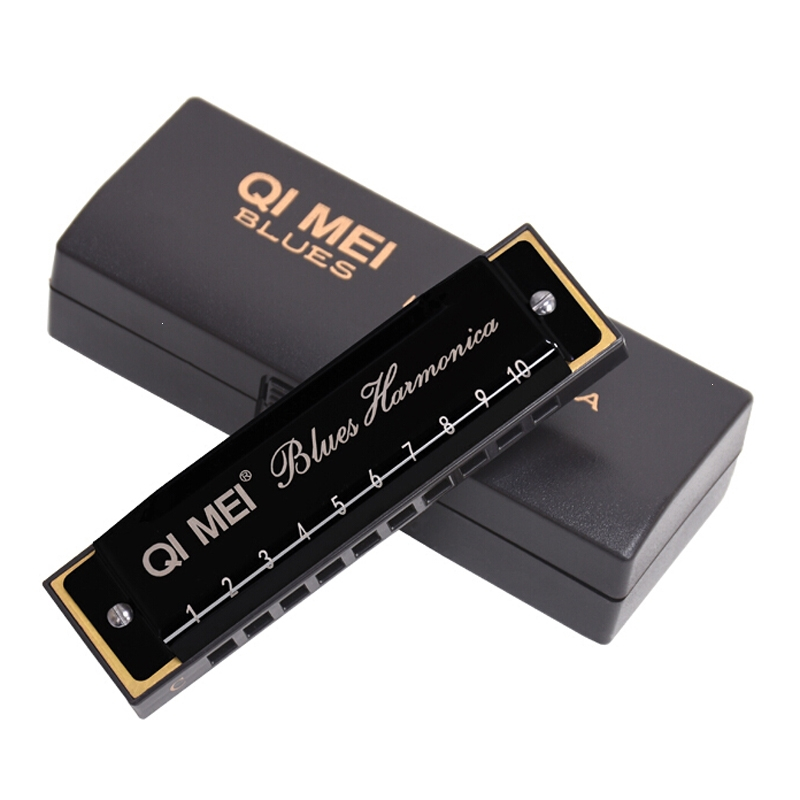 奇美布鲁斯口琴10孔高级成人初学者专业c调蓝调入门自学生男乐器