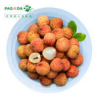 PAGODA A级-桂味荔枝5斤礼盒装
