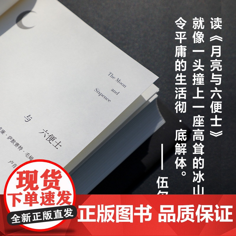 []月亮与六便士(名家新译本 别致精装 镂空设计 轨道与旷野之外 寻找第三条道路) 满地都是六便士 他却抬头看见了月亮高清大图