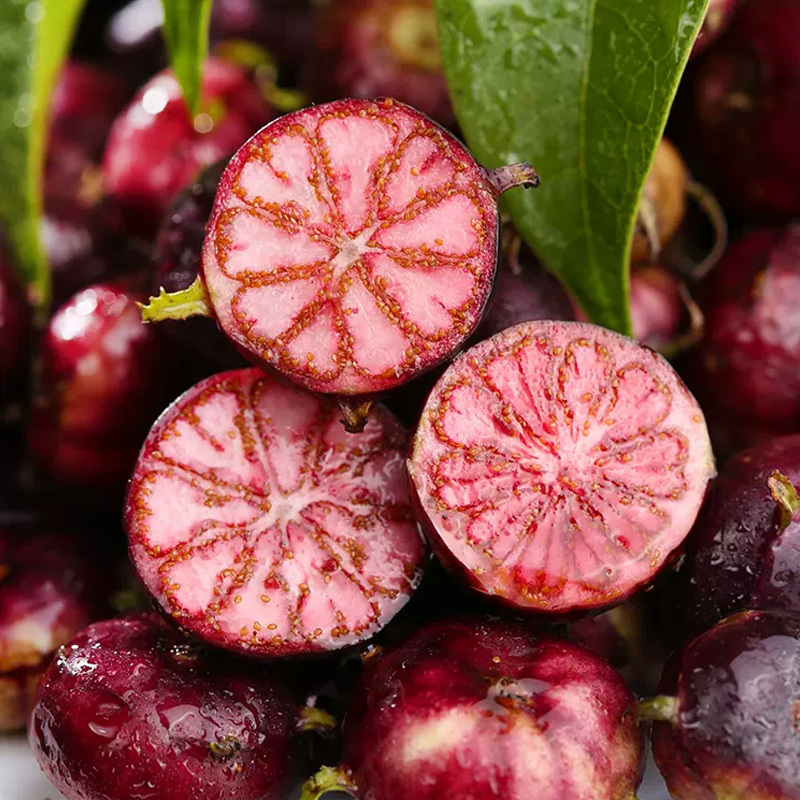 [西沛生鲜]新鲜红果参 4盒 125g/盒云南蜘蛛果稀有水果应当季现摘美容