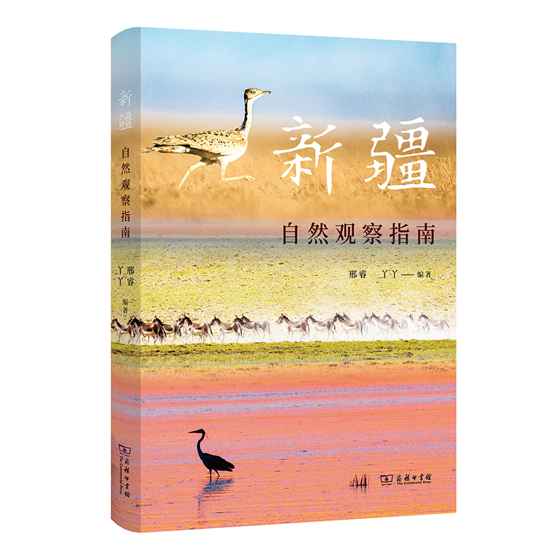 音像新疆自然观察指南(自然观察丛书)邢睿 丫丫