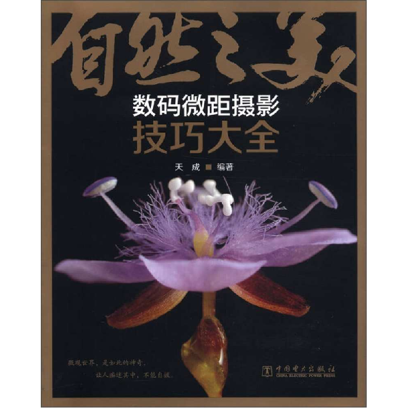 正版新书】自然之美-数码微距摄影技巧大全-(含1DVD)天成97875123