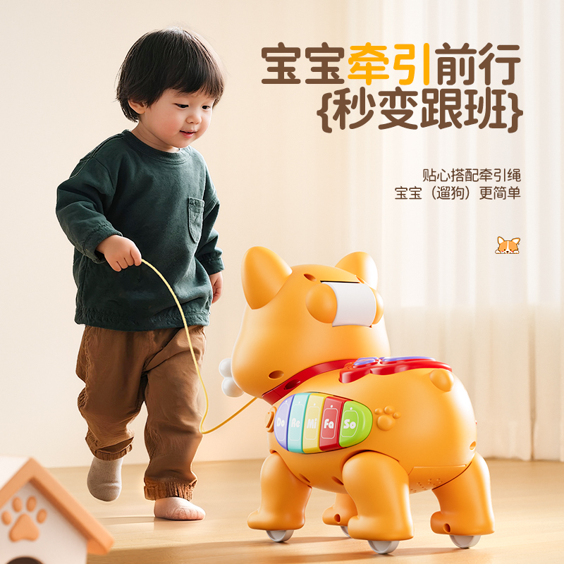 牵绳法斗犬高清大图