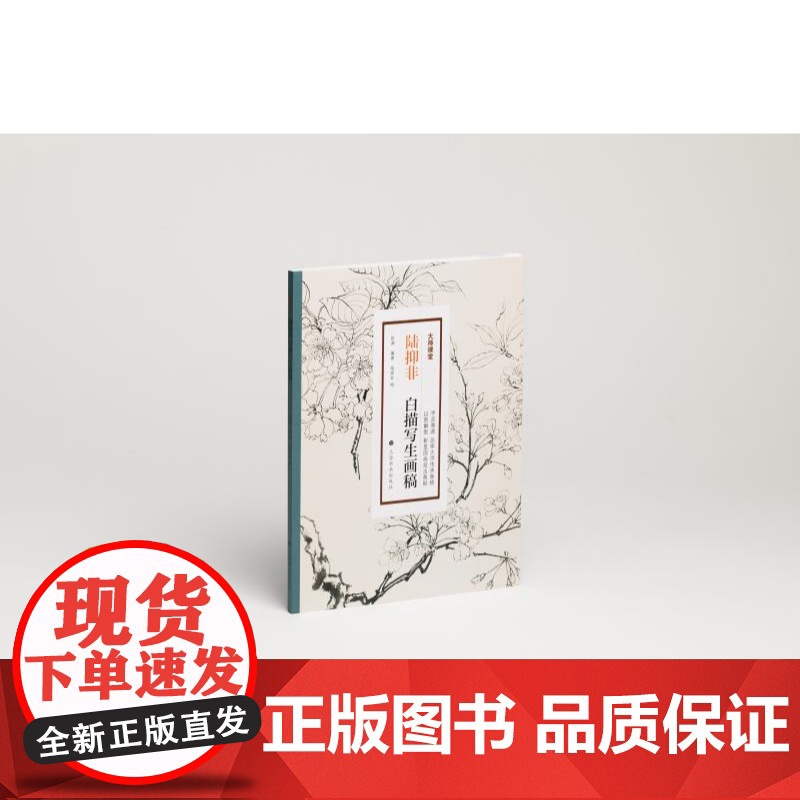 陆抑非白描写生画稿 大师课堂 张渊编陆抑非绘上海书画出版社近现代花鸟画大家展现白描人物写生教学图谱高清大图