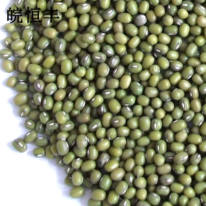 皖恒丰五谷杂粮真空精选绿豆1000g一袋高清大图